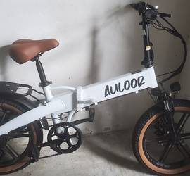 E bike