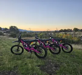Surron Light Bee-2025 [WKY rental #1](PINK edition 1of3)