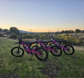 Surron Light Bee-2025 [WKY rental #1](PINK edition 1of3)