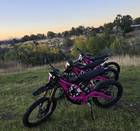 Surron Light Bee-2025 [WKY rental #1](PINK edition 1of3)