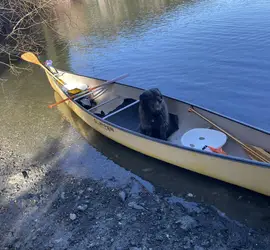 Clipper ranger canoe 17 feet