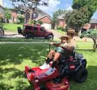 Zero Toro Riding lawnmore  42"