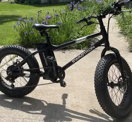 Swagtron EB6 EBIKE - Black