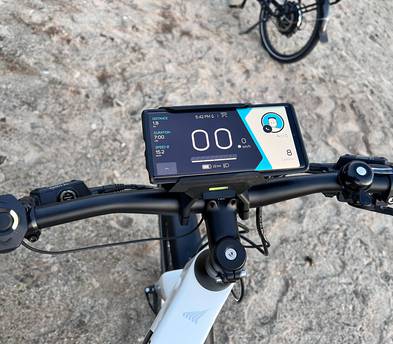 Peddle assist Electric Bike