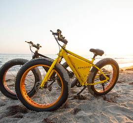 SONDORS Electric Bike (Fat Tires)