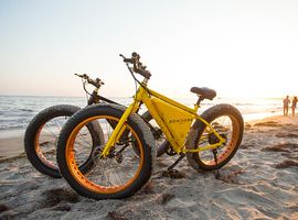 SONDORS Electric Bike (Fat Tires)