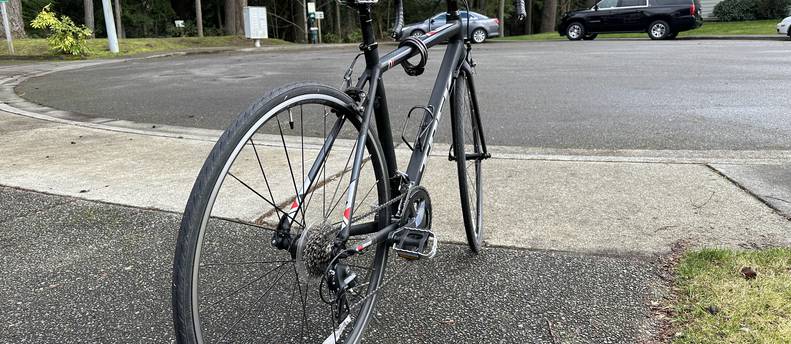 Discover the Joys of Road Biking with the Trek Domane AL 2