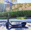 SegWay Ninebot E2 Plus
