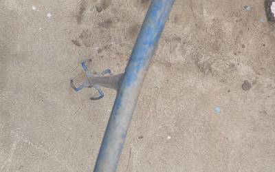 Garden Claw weed puller