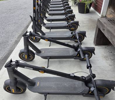 Electric Scooter