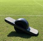 Onewheel Pint