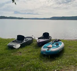 Kayak- purple