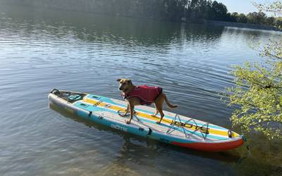 BOTE Stand Up Paddle Board (inflatable w/ backpack!)