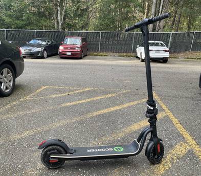 Folding Adult Electric Scooter (Long Range)
