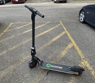 Folding Adult Electric Scooter (Long Range)
