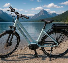Gazelle Medeo T9 E-bike