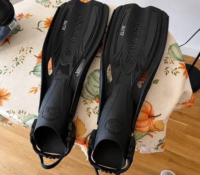 Diving & Snorkeling Gear for Rent – Complete Set Available