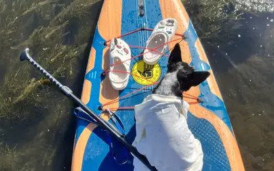 Stand Up Paddle Board rental in Gilbert