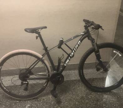Specialized Rockhopper Bicycle