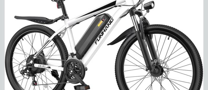 Electric bike