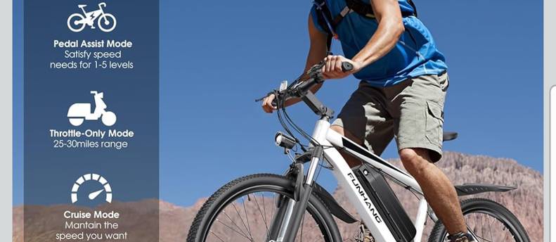 Electric bike
