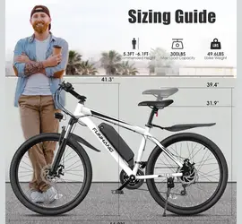 Electric bike
