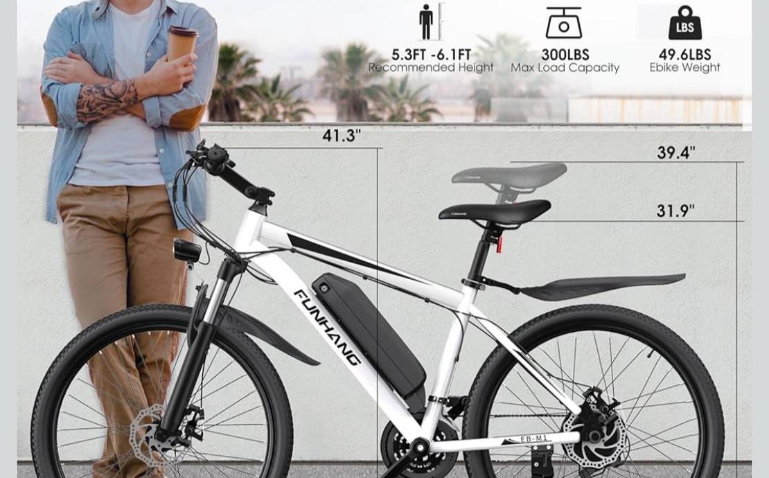 Electric bike