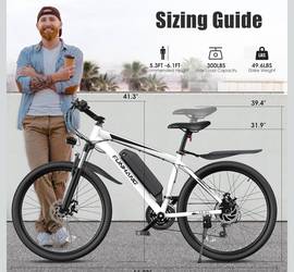 Electric bike
