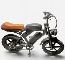 2 Seated E Bike