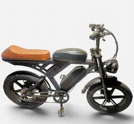 2 Seated E Bike