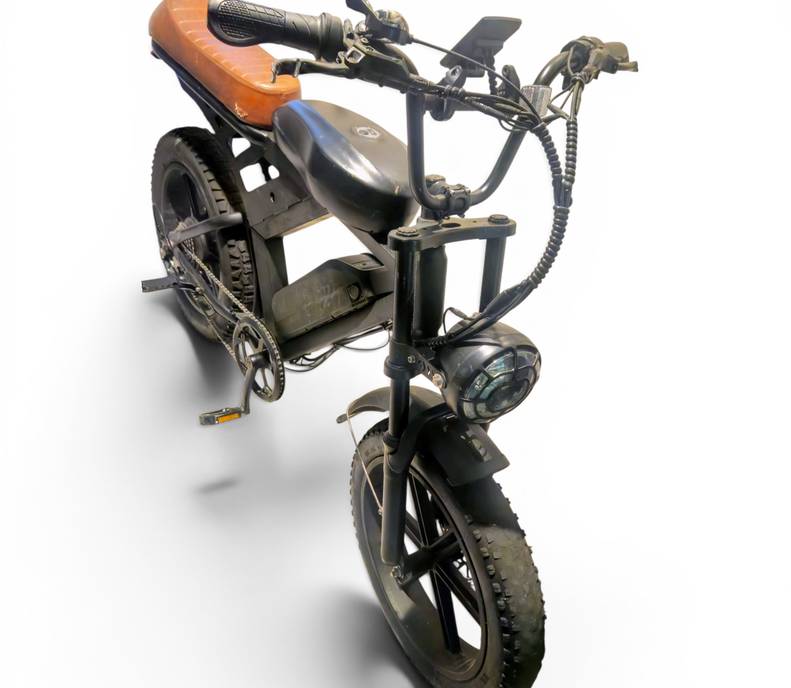 2 Seated E Bike