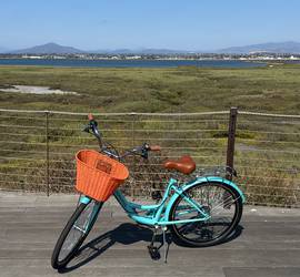 Cruiser Bicycle (with basket and lock)
