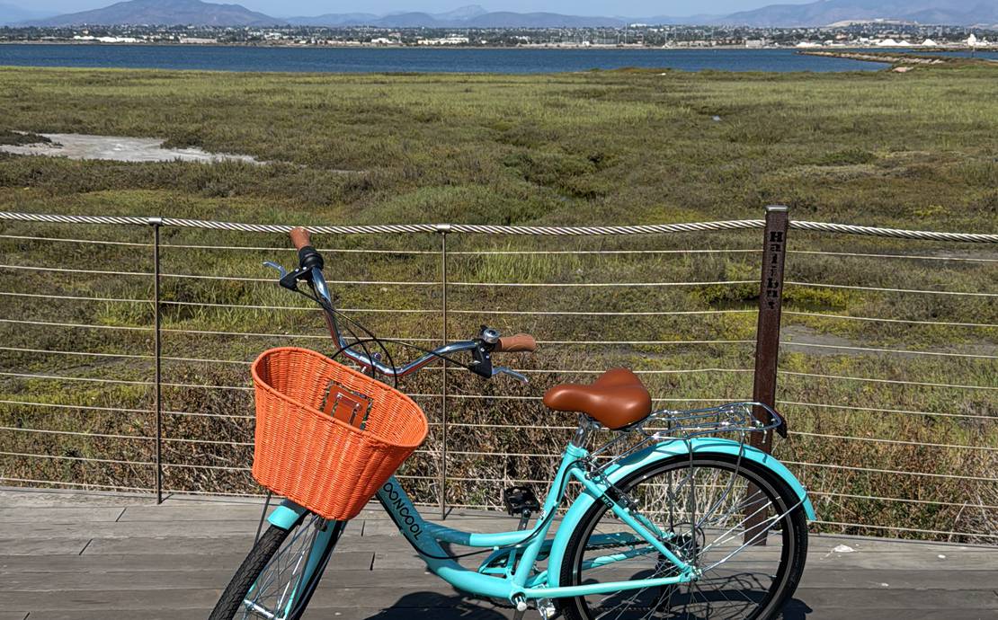 Cruiser Bicycle (with basket and lock)