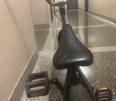 Kink Curb 2016 BMX bike