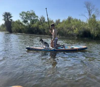 Paddle board