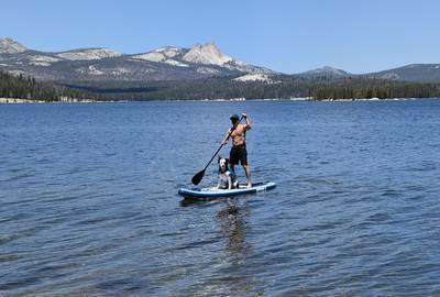 Stand up paddle board