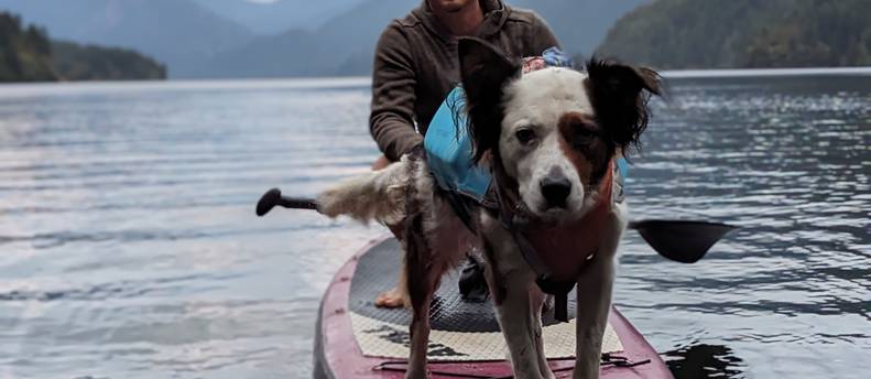 ISUP inflatable paddle board