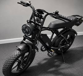 Electric Bike