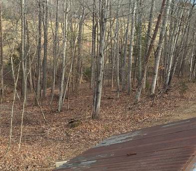 30 acre place to ride!
