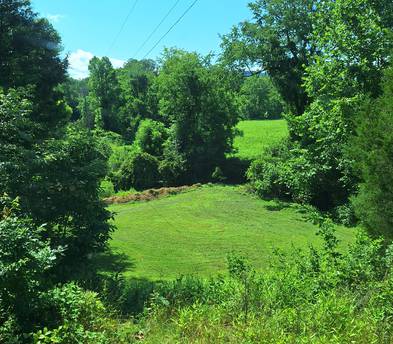 30 acre place to ride!
