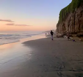 Free Delivery! Onewheel+ XR Surf the Land & Ride it All + Free Retrieval