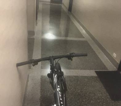Specialized Rockhopper Bicycle