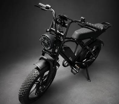 Electric Bike