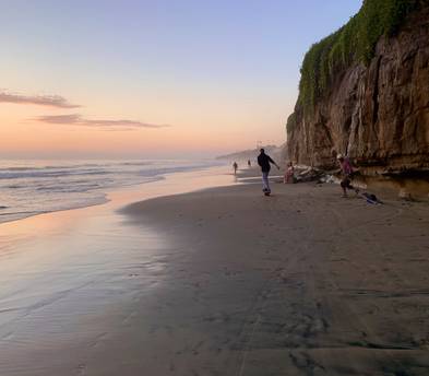 Free Delivery! Onewheel+ XR Surf the Land & Ride it All + Free Retrieval