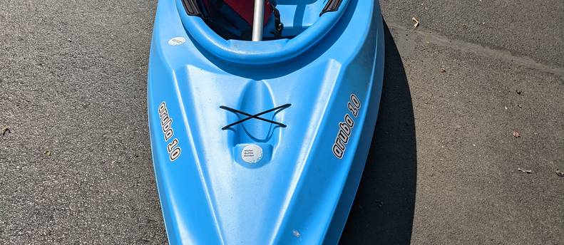 Sun Dolphin Aruba 10' Sit-In Recreational Kayak (Paddle and Lifejacket (PFD) Included)