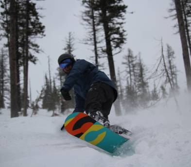 Burton Custom Flying V for rent and for sale