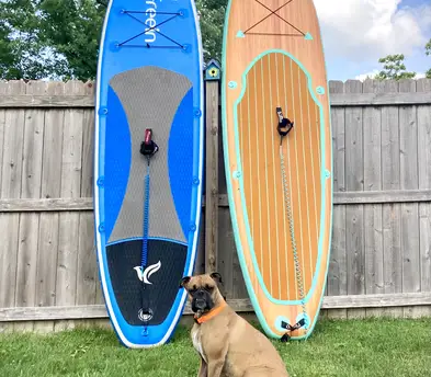 Full day Paddle Board Rental
