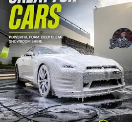 Professional Pressure Washer + Surface Cleaner + Foam Cannon (Driveways, Patios, Cars)