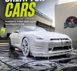 Professional Pressure Washer + Surface Cleaner + Foam Cannon (Driveways, Patios, Cars)