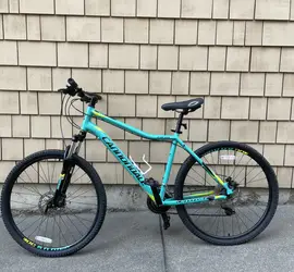 Cannondale Foray 4 Bike